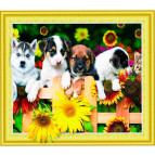 Алмазная живопись мозаика  по номерам на холсте 40*50см Лидер 057 Щенки