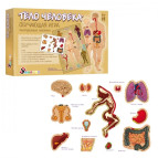 Игра настольная Умняшка Тело человека, с многоразовыми наклейками (рус) КП-004р