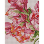 Алмазная живопись мозаика по номерам на холсте - 40*50см Идейка АМО7020 Строптивые пионы