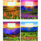 Тетрадь школьная А5+ 168*203мм 12л. Полиграфист цветная обложка