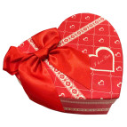 Коробка подарочная SY 21*19*9см 2 вида микс 2218-103-L