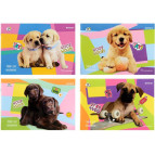 Альбом для рисования А4 24л Kite мод.242 Rachel Hale R22-242