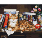 Картина раскраска по  номерам на холсте - 40*50см BrushMe BS4142 Кот на книжной полке