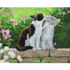 Картина раскраска по  номерам на холсте - 40*50см BrushMe BS3251 Пара котят