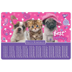 Подложка на стол Yes пластиковая 42,5*29см с таблицей умножения Keith Kimberlin 492044