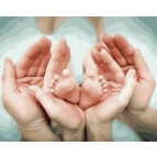 Картина раскраска по  номерам на холсте - 40*50см Никитошка GX41878 Маленькое счастье