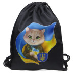 Сумка для обуви Лидер 34*43см Кот патриот 420-4-КТ