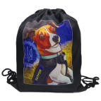 Сумка для обуви ЛИДЕР 34*43см Пес Патрон 420-3