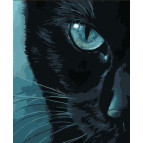 Картина раскраска по номерам на холсте - 40*50см Strateg DY305 Холодный взгляд