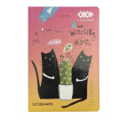 Школьный дневник ZiBi В5 (17,6*25см) Cactus ZB.13227-11