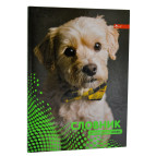 Тетрадь для иностранных слов (словарь) А5 Скат УП-236 Неон