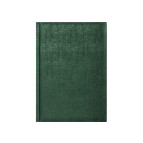 Ежедневник 2024 Economix А5 Gala E21815