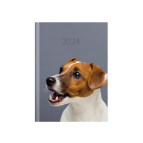 Ежедневник 2024 Economix A5 E21841