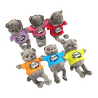 Игрушка мягкая, ЛИДЕР Котик в футболочке h-16см с присоской, ассорти 309-26