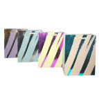 Пакет подарочный бумажный 17,5*24*8см ООПТ Stripes C-934-S