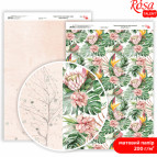Бумага для дизайна Rosa Talent А4 200г/м матовая двухсторонняя King Protea-3 5311178