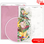 Бумага для дизайна Rosa Talent А4 200г/м матовая двухсторонняя King Protea-4 5311179