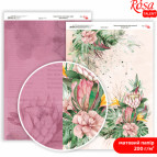 Бумага для дизайна Rosa Talent А4 200г/м матовая двухсторонняя Love Mood-1 5318081