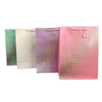 Пакет подарочный бумажный 26*32*10см ООПТ Полосочки 929-M