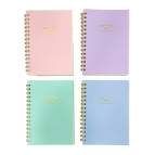 Тетрадь на спирали А5 100л. пластиковая обложка Лидер 410-А5 в клетку