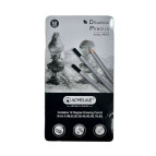 Карандаши чернографитные простые, набор 12шт. Acmeliae в металлическом пенале 2H-8B 44053