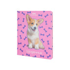 Школьный дневник Maxi  А5+ 48л. MX29932-44