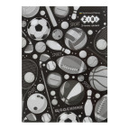 Школьный дневник ZiBi А5+ (16,9*23,4см) Sport ZB.13104