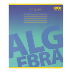 Тетрадь школьная предметная Алгебра А5+ 168*203мм 48л. ZiBi в клетку Gradient ZB.1702-02