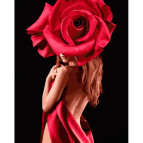 Картина раскраска по номерам на холсте - 40*50см Strateg GS1065 Девушка-роза
