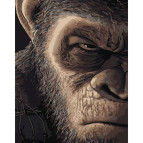 Картина раскраска по номерам на холсте - 40*50см Strateg DY279 Злой взгляд