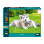 Пазлы  DankoToys 1000 эл. DT C1000-13-05 680*475 Friends