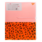 Папка-органайзер А4 на резинке Yes 3 отделения Vivere 491746