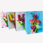 Пакет подарочный бумажный 18*23*10см Авоська 650-S