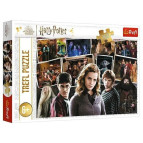 Пазлы Trefl 160 эл. SBB-15418 Гарри Поттер и его друзья