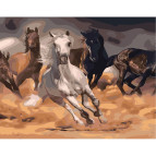 Картина раскраска по номерам на холсте - 40*50см Strateg SY6411 Скорость