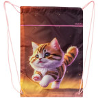 Сумка для обуви Class 2535C 46*33см Kitty