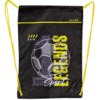 Сумка для обуви Class 2537C 46*33см Football