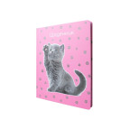 Школьный дневник Maxi  А5+ 48л. MX29911