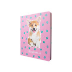 Школьный дневник Maxi  А5+ 48л. MX29915