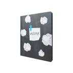 Школьный дневник Maxi  А5+ 48л. MX29927