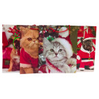 Пакет подарочный бумажный 26*32*10см ООПТ Новогодний Y848-M