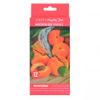 Набор акварельных карандашей Santi Highly Pro 12шт 742383