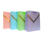 Пакет подарочный бумажный 18*23*10см Golden stripe 2907-S