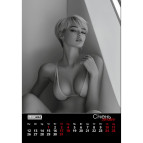 Календарь настенный листовой квартальный 2026 Buromax на 1 спирали 42*59,4см Women BM.210653