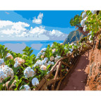 Картина раскраска по номерам на холсте - 40*50см Strateg GS1011 Цветы у тропы