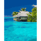 Картина раскраска по номерам на холсте - 40*50см Strateg GS1299 Домик в океане