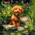 Картина раскраска по  номерам на холсте  - 40*40см Идейка КН6799 Пудель на пруду