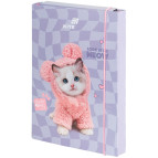 Папка для тетрадей B5 KITE мод 210 плотный картон на резинке Studio Pets SP26-210