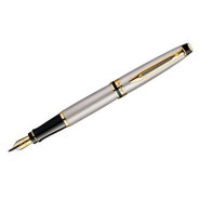 Ручка перьевая WATERMAN Expert SS GT F 10042