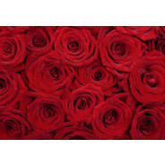 Декупажная карта-бумага KREUL 33*48см Поле роз KR-B8150